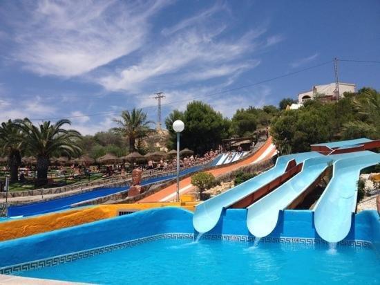 Ciudad Quesada Apartamento Independiente En Finca Con Piscina Compartida Екстериор снимка